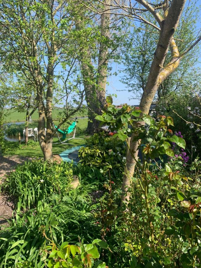 Very Nice Cottage In Durgerdam, With Private Garden, Free Parking, Pets Allowed Amsterdam Exteriér fotografie